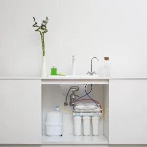 ФИЛЬТР ОБРАТНОГО ОСМОСА ECOSOFT STANDARD С МИНЕРАЛИЗАТОРОМ 2