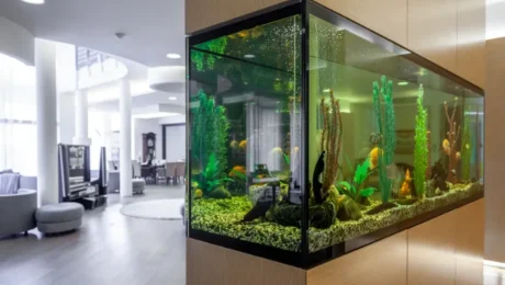 2 як підготувати воду для акваріума